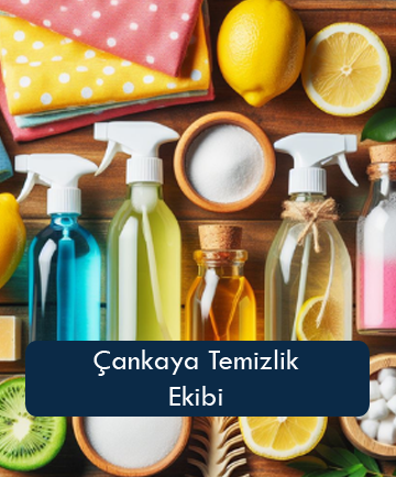 Çankaya Temizlik Ekibi